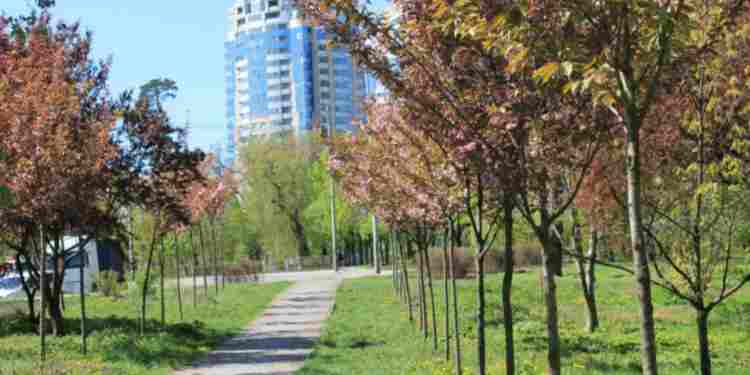 2024_03_19_0621c58524237839-750x375