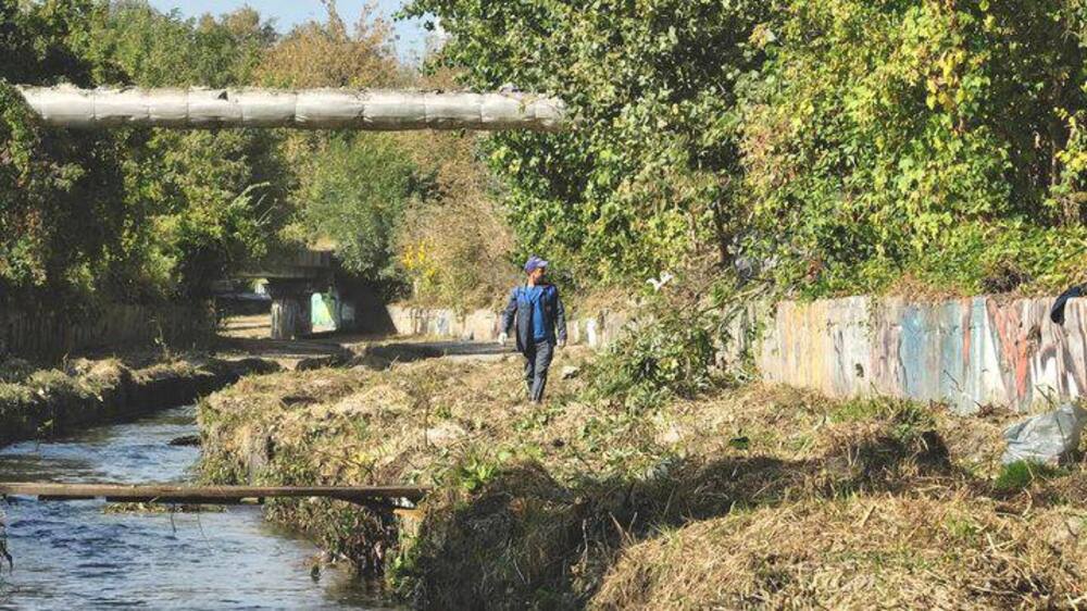 Фото: КП «Плесо»