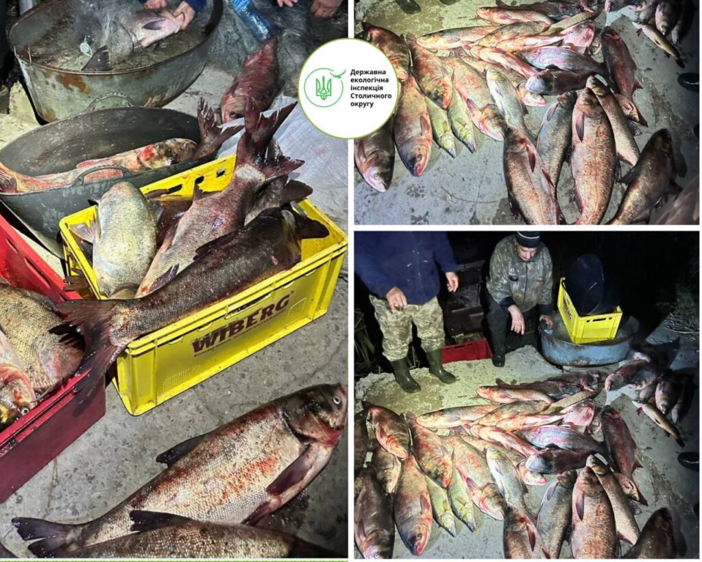 464108799_868460165393182_2722686324491484833_n