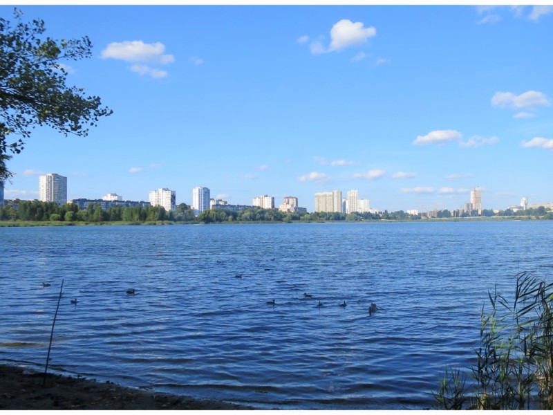 mycollages-2021-09-04t142537-946-800x600