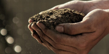 Торфовища в Україні отримають особливий режим захисту