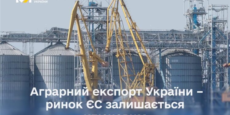 Тарас Висоцький: Аграрний експорт України – ринок ЄС залишається ключовим, але географія поставок розширюється