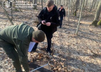 Незаконна порубка в заповідній зоні на Рівненщині: збитки понад 1,4 млн грн