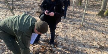 Незаконна порубка в заповідній зоні на Рівненщині: збитки понад 1,4 млн грн