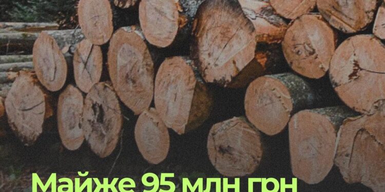 Захистити ліс…