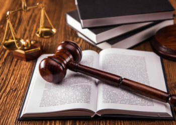 Громада на Житомирщині “не помітила” 200 гектарів лісу: суд змусив чиновників визнати реальність