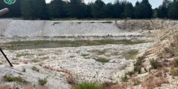 Піщана мафія на Житомирщині: як ділки “намили” 70 мільйонів на крадених надрах