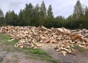 Понад 16 млн грн збитків довкіллю: прокуратура передала до суду справу щодо незаконного видобутку піщанику на Житомирщині