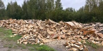 Понад 16 млн грн збитків довкіллю: прокуратура передала до суду справу щодо незаконного видобутку піщанику на Житомирщині