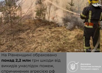Майже 720 тонн CO₂ і понад 2,2 млн грн збитків: екологічні наслідки пожеж на Рівненщині спричинених військовою агресією