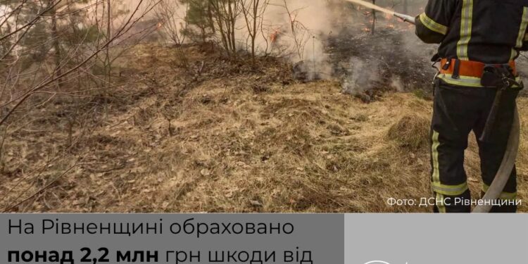 Майже 720 тонн CO₂ і понад 2,2 млн грн збитків: екологічні наслідки пожеж на Рівненщині спричинених військовою агресією