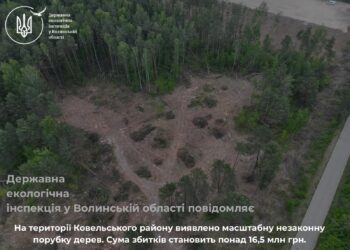 На території Ковельського району виявлено масштабну незаконну порубку дерев. Сума збитків становить понад 16,5 млн грн
