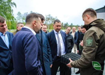Відновлення лісів за стандартами ЄС: Ігор Зубович пояснив важливість нових законодавчих змін