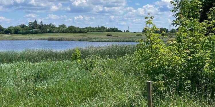Брусилівська селищна рада одна з перших на Житомирщині виконала вимоги ДЕІ Поліського округу