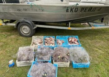 Кілометр браконьєрських пасток на Кременчуцькому водосховищі: екоінспектори витягли величезну партію нелегальних сіток з рибою