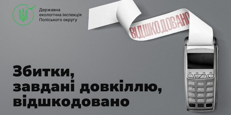 Понад 402 тис. грн збитків за незаконну порубку дерев на Рівненщині стягнуто на користь держави у судовому порядку