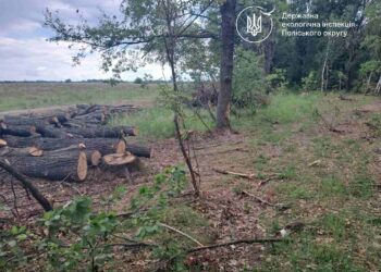 Суд підтримав Екоінспекцію